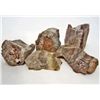 Image 1 : LOT OF 751 CTS MADAGASCAR PETRIFIED WOOD 6 PCS