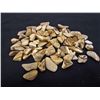 Image 1 : LOT OF 766.5 CTS ARIZONA PETRIFIED WOOD TUMBLED 76 PCS