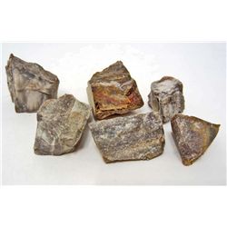 LOT OF 762.5 CTS MADAGASCAR PETRIFIED WOOD 5 PCS