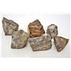 Image 1 : LOT OF 762.5 CTS MADAGASCAR PETRIFIED WOOD 5 PCS