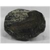 Image 3 : Alaskan Fossilized Whale Tooth Carving