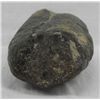 Image 4 : Alaskan Fossilized Whale Tooth Carving