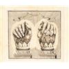 Image 1 : Pray [György], Georgi[us]: Dissertatio historico-critica de Sacra Dextera Divi Stephani Primi Hungar