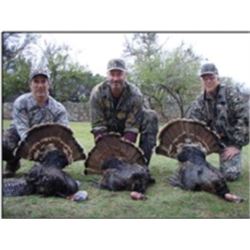 Rio Grande Wild Turkey Hunt with Rio Bonito Ranch