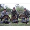 Image 1 : Rio Grande Wild Turkey Hunt with Rio Bonito Ranch