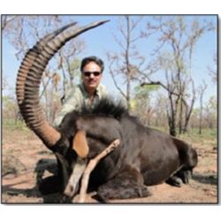 Sable & Plains Game Hunt in Mozambique with Roger Whittall Safaris