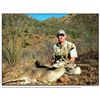 Image 1 : Mexican Coues Deer Hunt with Mario Rogel Hunting