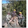 Image 1 : Mountain Lion Hunt with Rodney Jones of Treed One Outfitters