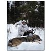Image 1 : North American Wolf Hunt with Kap River Outfitters