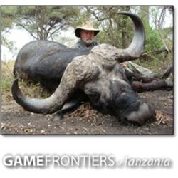 Cape Buffalo & Plains Game Hunt with Game Frontiers of Tanzania