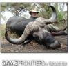 Image 1 : Cape Buffalo & Plains Game Hunt with Game Frontiers of Tanzania