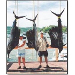 Deep Sea Fishing Trip with Lad Shunneson & Ken Wilson Adventures