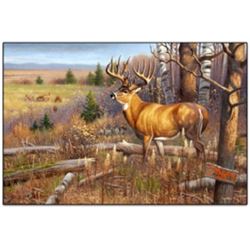 “A Cautious Approach” Conservation Print by Cynthie Fisher