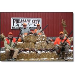Ringneck Pheasant Hunt at Pheasant City Lodge