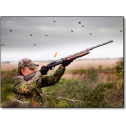 Wingshooting in Argentina with David Denies Wingshooting