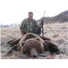 Image 1 : 5-day Alaska Trophy Brown Bear and Black Bear Combo Hunt for One Hunter