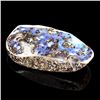APP: 2.9k 23.75gm Freeform Cut Boulder Opal Gemstone