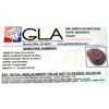 Image 3 : APP: 21.9k 625.75CT Oval Cut Ruby Gemstone