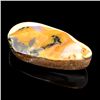 Image 1 : APP: 3.4k 27.66gm Freeform Cut Boulder Opal Gemstone