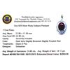 Image 2 : APP: 2k Designer Sebastian 24.65CT Oval Cut Ruby and Sterling Silver Pendant
