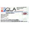 Image 3 : APP: 1.2k 47.55CT Oval Cut Ruby Gemstone