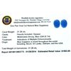 Image 2 : APP: 1.5k 31.30CT Oval Cut Blue Sapphire Parcel