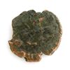 Image 2 : Ancient Bronze Coin