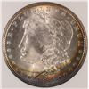 Image 2 : 1885 MORGAN SILVER DOLLAR, ANACS MS-65  SPECTACULAR RAINBOW COLORS!!