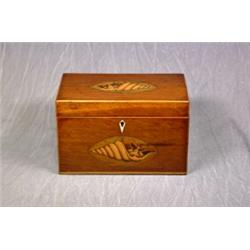 A 19th Century Mahogany and Boxwood 2 Division Tea Caddy with Small Ivory Escutcheon and Shell In...