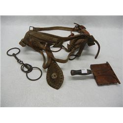 Horse Bridle & Horse Brush