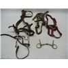 Image 1 : Lot of Misc. Horse Bridles