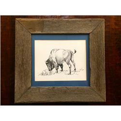 Old wood framed Bison print
