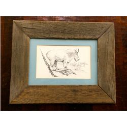 Old wood framed Mountain Goat print