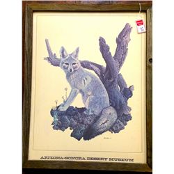 Nick Wilson, Arizona Sonoran Desert Museum print