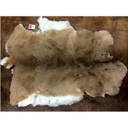 Hair-on whitetail deer hide