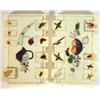 Image 1 : Two rectangular ivory Shibayama markers inlaid with mother-of-pearl, metal, enamel, etc, and deco…
