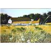 Image 1 : Framed watercolour of Sussex of daisies in fields in front of flint barns, Paul Evans, 50cm x 34c…
