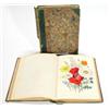 Image 1 : 'The Ladies Flower-Garden of Ornamental Perennials' by Mrs Loudon, two volumes, 1843, William Smi…