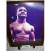 Image 1 : EVANDER HOLYFIELD HAND SIGNED BOXING PLAQUE, BOXING HALL OF FAMER