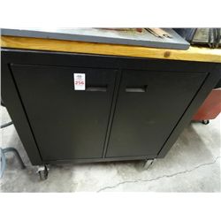 Metal 2 Door Cabinet