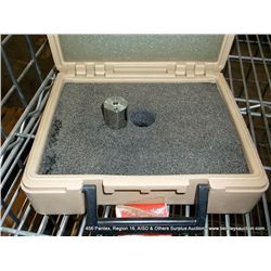 CALIBRATED 100 GRAM WEIGHT