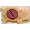 Image 3 : VINTAGE AIDMORE ADVERTISING PINK PIG PLASTIC BANK