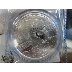 2014 Canada Polar Bear silver $50.00 coin