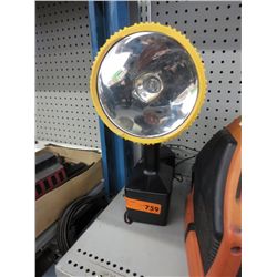 Cordless spot light with adapter