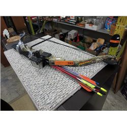 Compound bow and arrows - child size