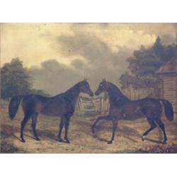 Early 19th Century English School Oil on canvas. Two stallions with field beyond.  28 x 36 ins. G...