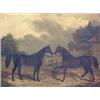 Image 1 : Early 19th Century English School Oil on canvas. Two stallions with field beyond.  28 x 36 ins. G...