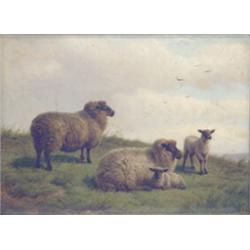 Charles Jones (1836-1892) Oil on wooden artists board. Sheep on a hillside. Monogrammed.  7 x 9 i...