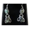 Image 1 : New Labradorite earrings