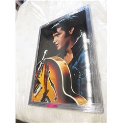 "Elvis Guitar"